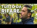 VENDEMMIA 2022: un ERRORE DIETRO L'ALTRO