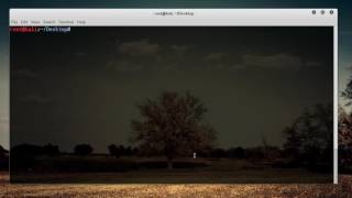 Linux Tutorial for Beginners   21   More on Shell Scripting Guide