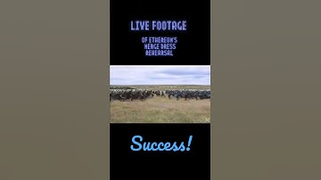 Ethereum’s Ropsten testnet successfully merged