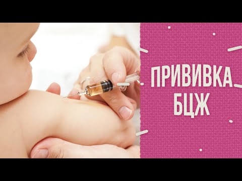 Прививки: БЦЖ
