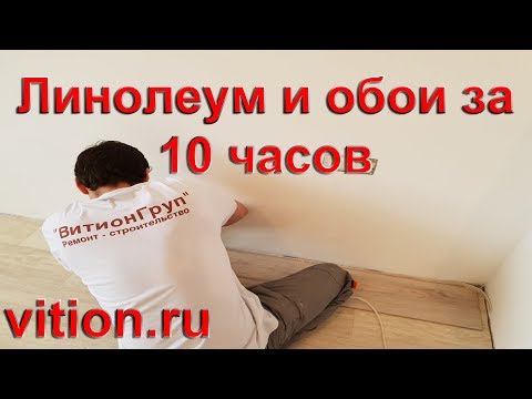 Обои, линолеум. Вся квартира за 10 часов