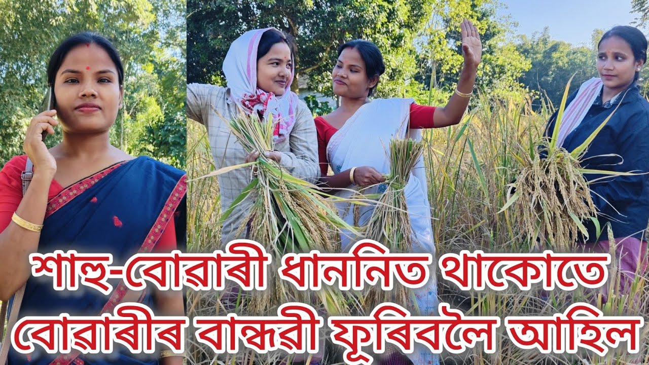 শাহু-বোৱাৰী পথাৰত থাকোত ঘৰলৈ আহিল আলহী//Assamese comedy video//Sahu Buwari