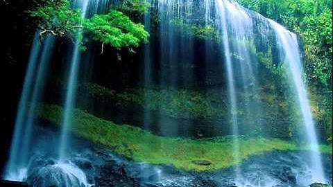 آيات من سورة يوسف للشيخ احمد فايز الحراسيس