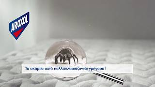 Aroxol Ακαρεα Σε 3 Απλά Βήματα