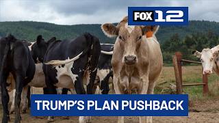 Oregon Farm Bureau push back on Trump beef import plan