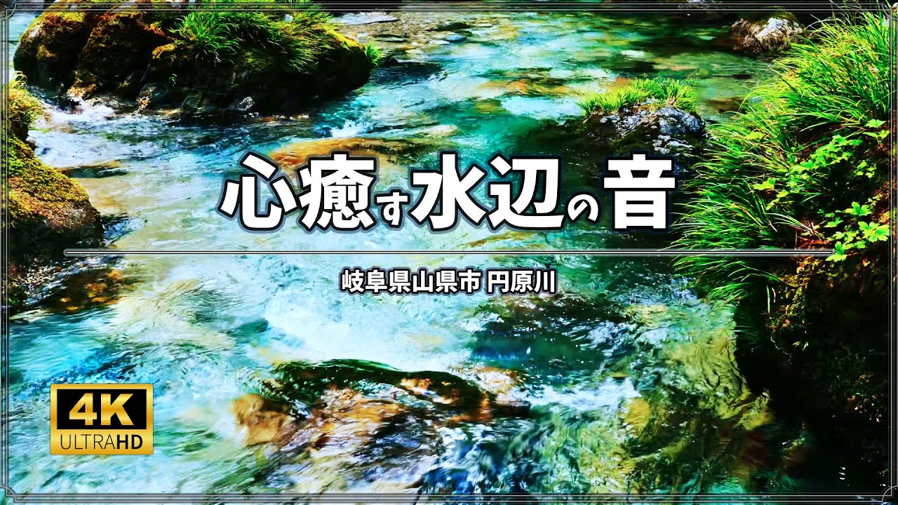 【集中・作業用BGM 3時間】心癒す水辺の音｜円原川、美しい水辺景観と清流の音 ASMR