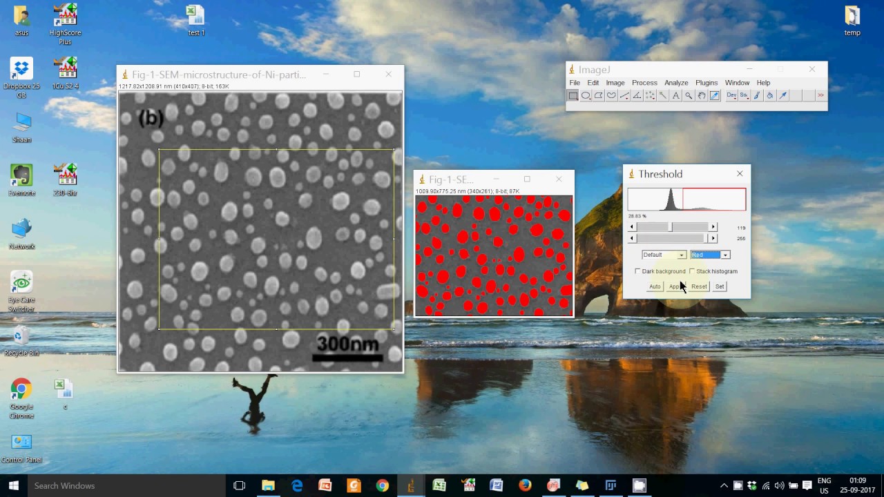 Imagej Analysis Length Measurement Area Measurement And Thresholding