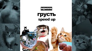 Sqwore, 17 SEVENTEEN - Грусть (speed up, sped up)