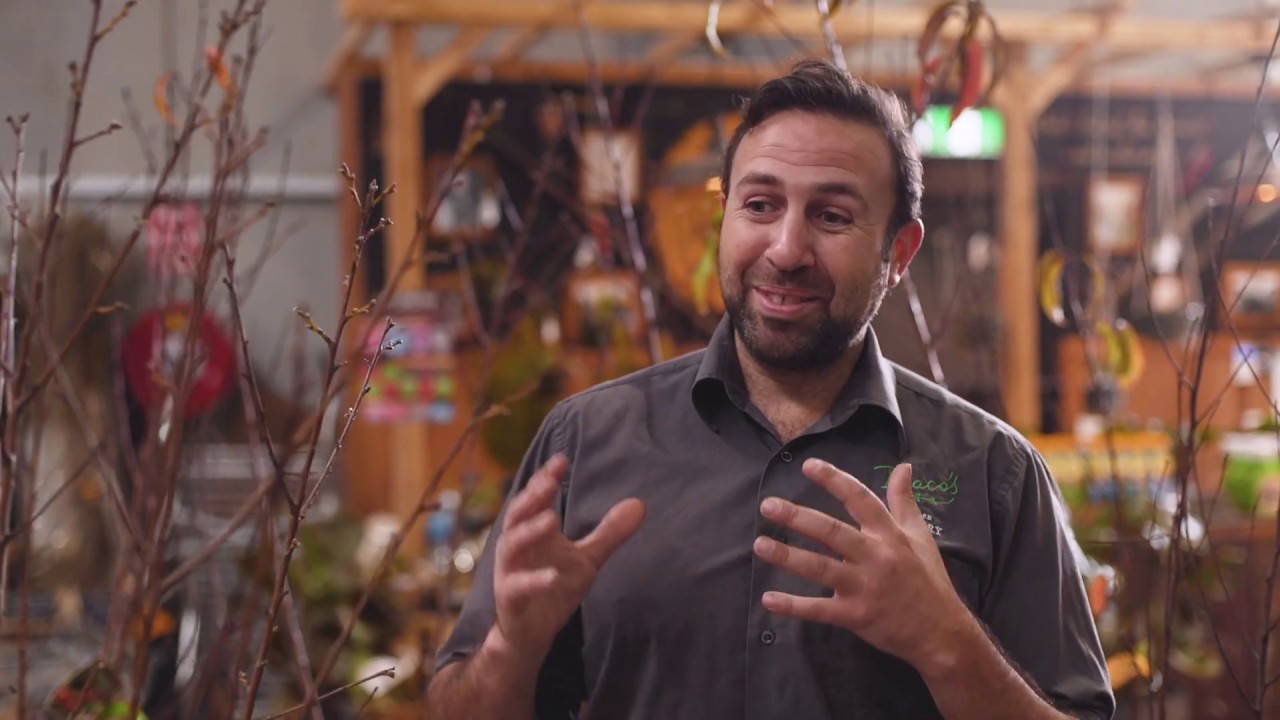 How to grow and care for Bare Root Trees? - Diaco's Garden Nursery - YouTube