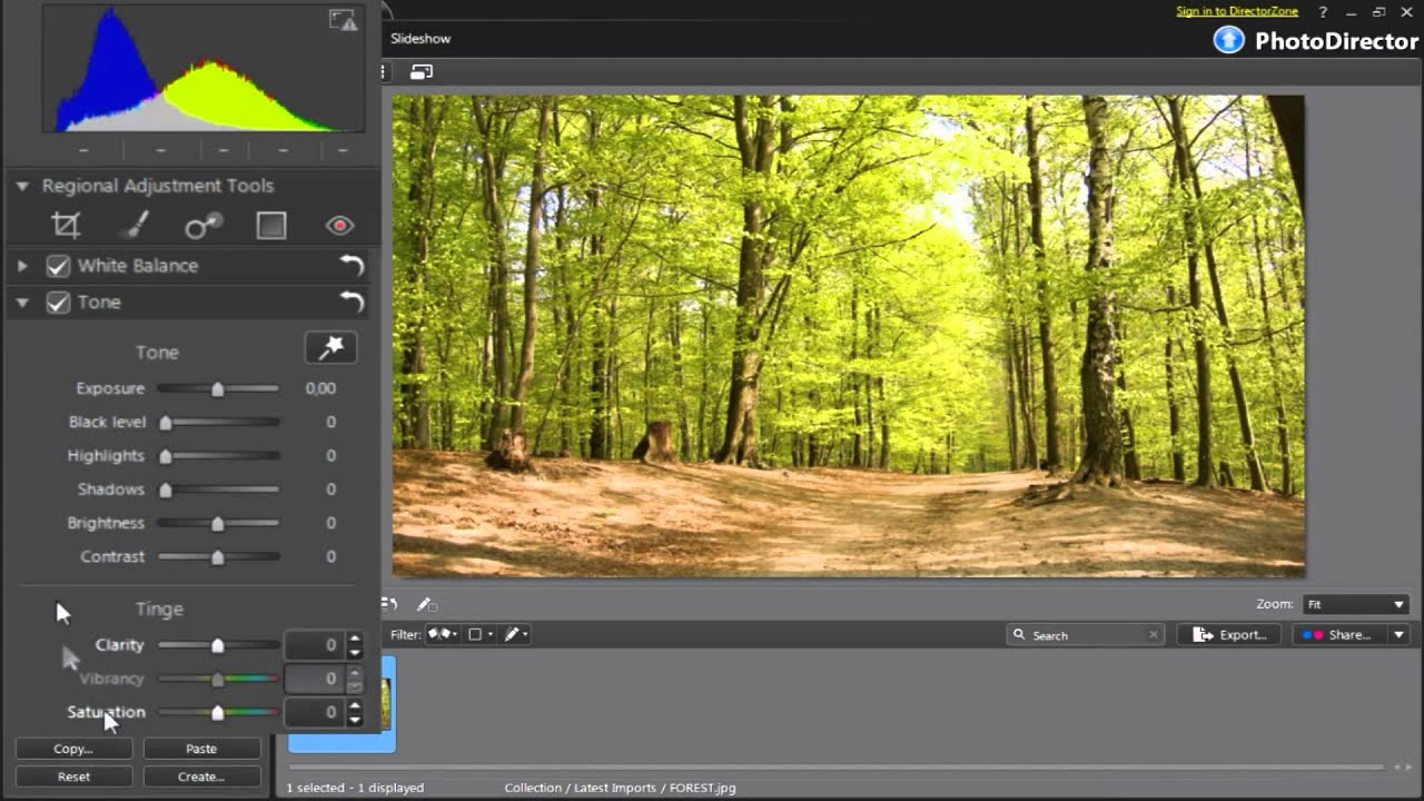 7 CyberLink PhotoDirector 2011 How to use the Tone Adjustment Tool