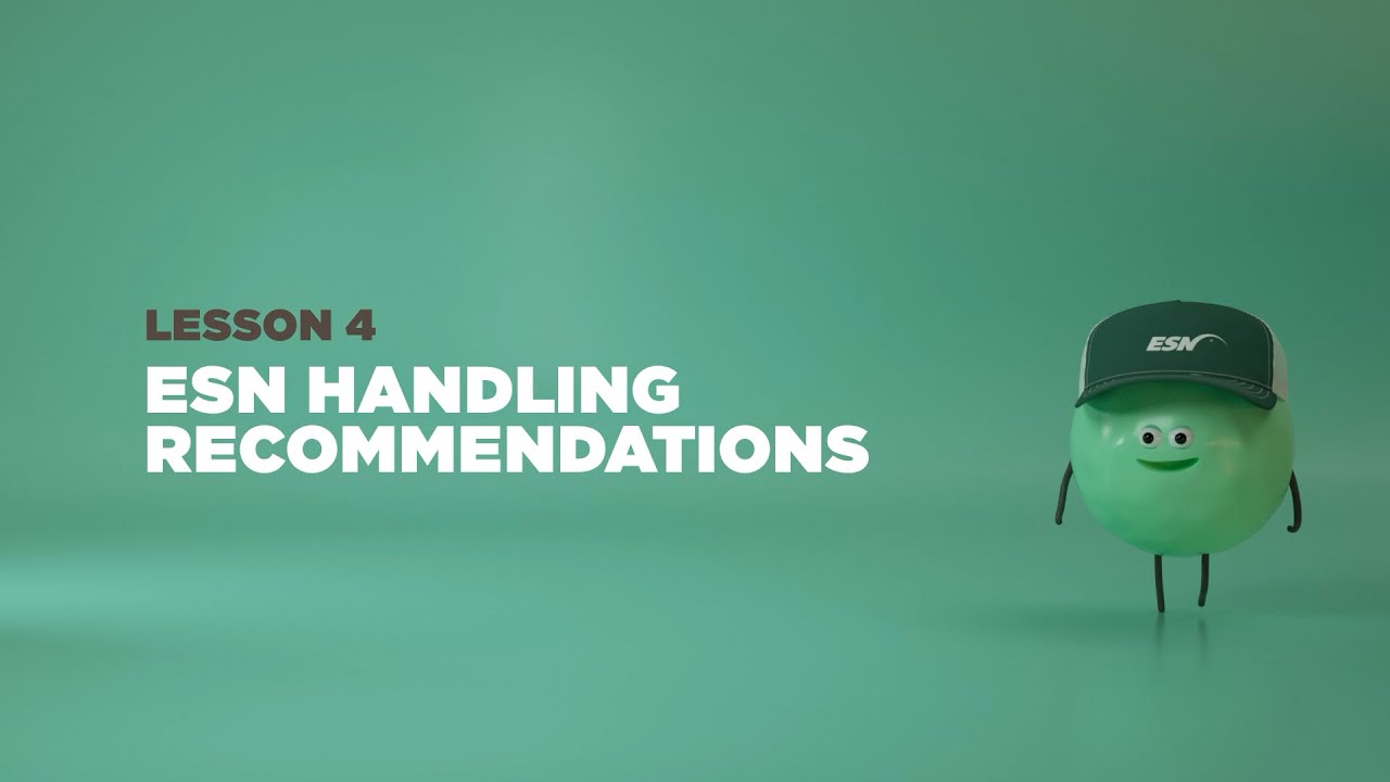 Lesson 4: ESN Handling Recommendations