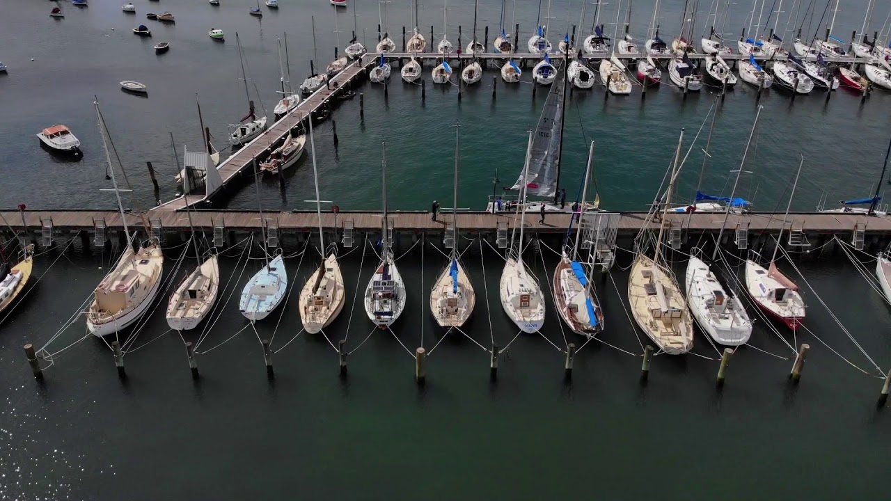 Bone Drone - Williamstown