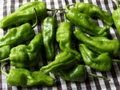 Pickled Padron Peppers in Sweet Spicy Vinegar - Pickled Peppers
