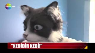 Kedidir kedi! Resimi