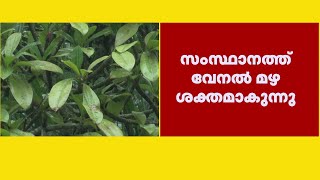 സംസ്ഥാനത്ത് വേനൽ മഴ ശക്തമാകുന്നു; ഇന്ന് അഞ്ച് ജില്ലകളിൽ യെല്ലോ അലേർട്ട് | Rain