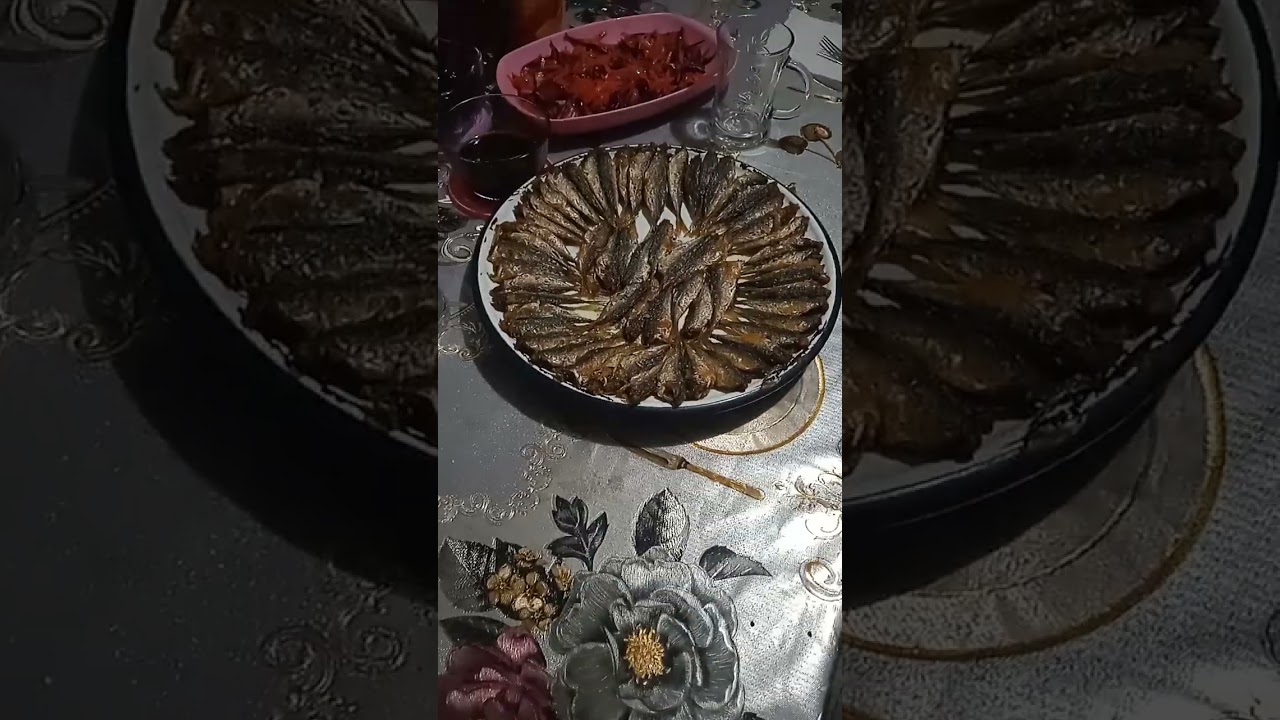 Ahada gene ben geldim kimle geldim balıkla🐟🐟🐟🐟🐟