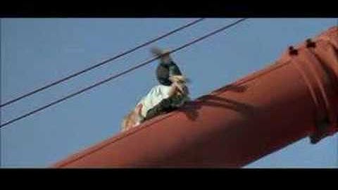 Bridge Over Troubled Waters to A View To A Kill