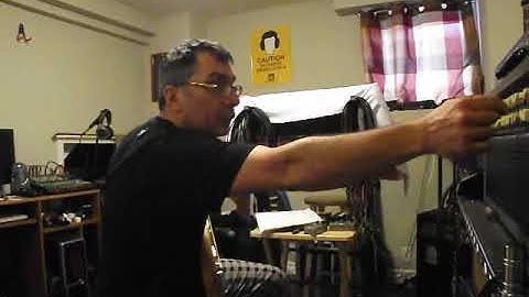 Leo X - Schumann Lion X clone.