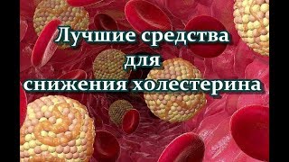 Лучшие средства для снижения холестерина Лучшие средства для снижения холестерина