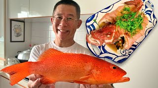Chinese Steamed Fish | Coral Trout