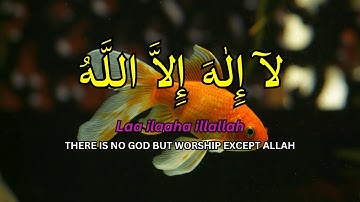 LAILAHAILLALLAH: Calming Islamic Dzikir for Relaxation, Stress Relief & Peaceful Sleep #50