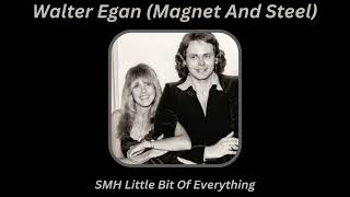 Walter Egan w/Stevie Nicks (Background Vocals)~Magnet and Steel