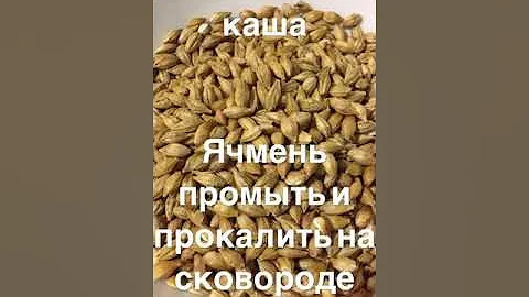 Каша из Ячменя