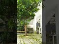 merenung