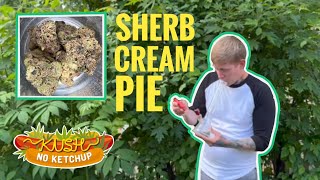 Sherb Cream Pie Strain Review (NEZ) | KUSH NO KETCHUP