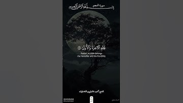 أم للإنسان ما تمنى | سورة النجم | محمود خليل الحصري #قرآن #اكسبلور #ذلك_الدين_القيم