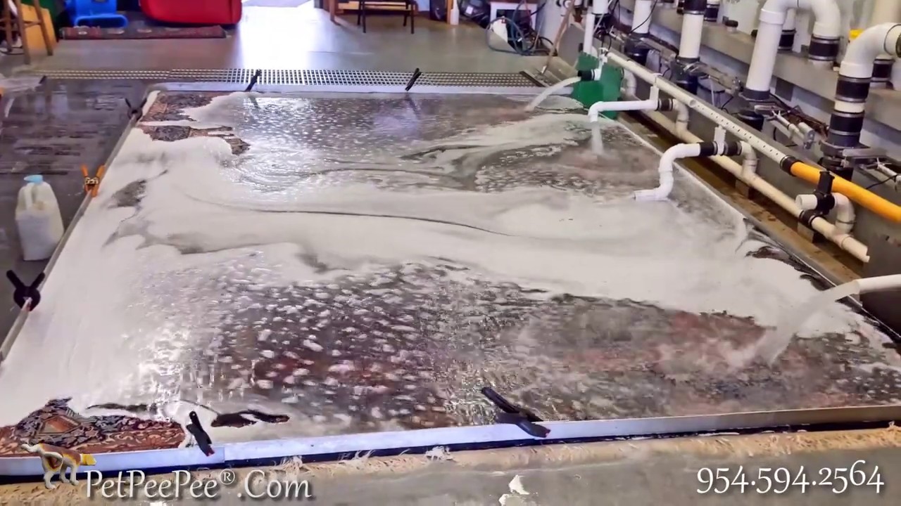 Pet Pee Pee Urine Odor Removal Service