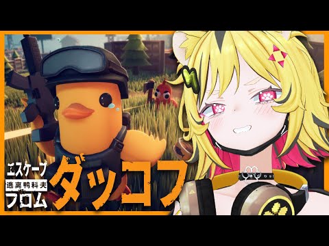【 エスケープ フロム ダッコフ 】最近話題人気のアレwww🦆【あおぎり高校/うる虎がーる】 video thumb