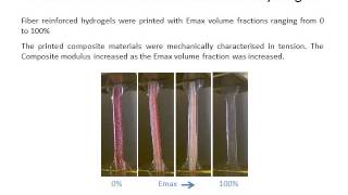 3D Printing of Fiber Reinforced Hydrogels
