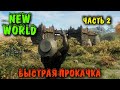 быстрая прокачка в новой MMORPG - New World Сервер Finias часть 2