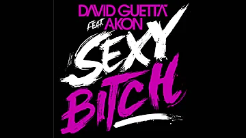 David Guetta ft Akon   Sexy Bitch HQ