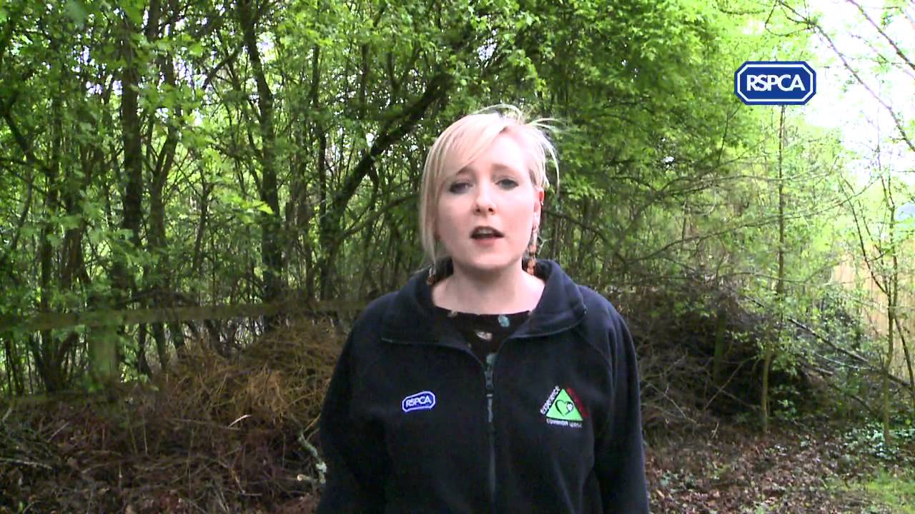cruelty free kiko RSPCA Video - Wildlife in Your Garden