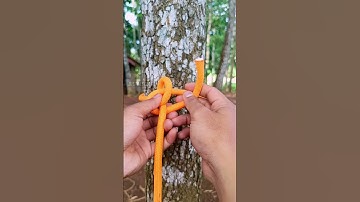 Easy Knots Everyone Should Know”#KnotTutorial #a #rope #HowToTie #RopeSkills #KnotGuide