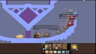 Transformice - Namepas 2015