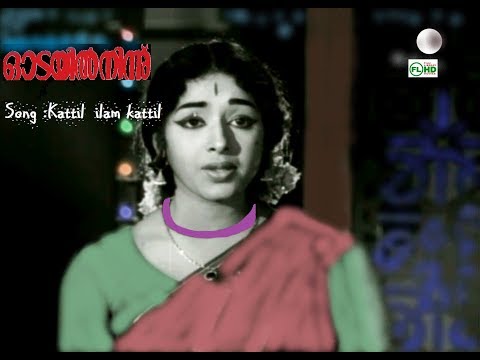  old is gold malayalam melody nithyavasantha ganangal premnazir hit songs m.k.arjunan hits malayalam latest upload songs malayalam super hit songs anjathavasam song muthukilungi mani muthukilungi kaveri poo pattanathil sreekumaranthampy hit songs a.b.raj film songs malayalam cinema ganangal vijayasree hits cinema jagathy oduvil movie indian cinema hit cinema malayalam comedy cinema kottayam nazir mattupetty machan full movie malayalam malayalam full movies hits malayalam full films malayalam com movie  : odayil ninnu
starring : sathyan | nazir | k.r.vijaya | jayabharathy others
lyrics : vayalar ramavarma
music :devarajan
direction : k.s.sethumadhavan