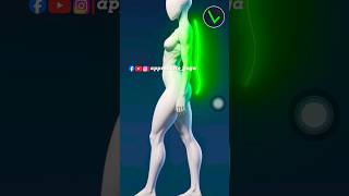 Join online yoga classes to correct your posture and improve your confidence #yoga #youtube #shorts