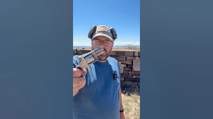 NAA 22 Short. Will it Penetrate? Part 42