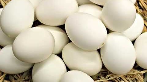 Poultry Farming | Course Code 211 | Program 9 | Broiler | AIOU