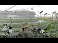Healthy Cities: UCL-Lancet Commission Healthy Cities: UCL-Lancet Commission
