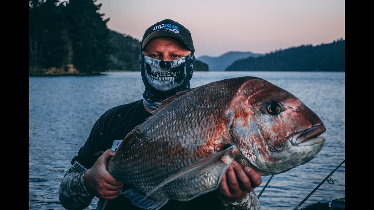 Full battle Big Snapper hits the mussel lines - YouTube