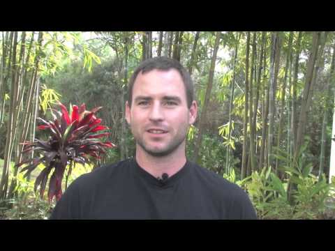 MCSA SQL 2012 - Jan 2013