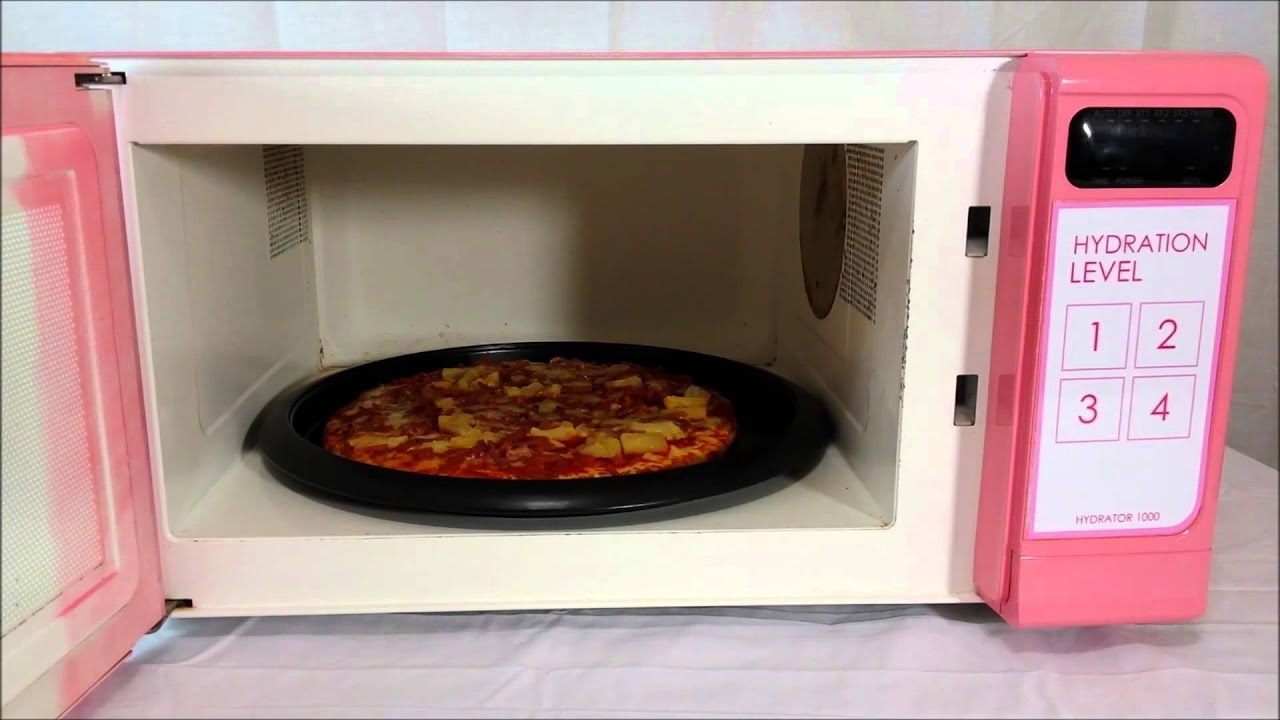 Hydrator 1000 Hydrates a Pizza in Mere Seconds YouTube