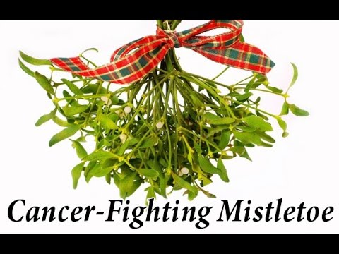 Iscador - A New Way of Cancer Therapy With Mistletoe Full HD (Exclusive)