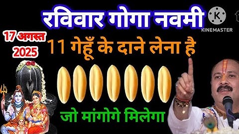 17 अगस्त रविवार गोगा नवमी को 11 गेहूं के दाने वाला अचूक उपाय जरुर करे। Pradeep Mishra Ji 