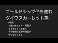 [2024/2/16] スカーレットテイル出産ライブ / Gold Ship's foal will be born today