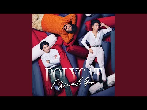 เพื่อนไม่จริง (Live in Polycat I Want You Concert)